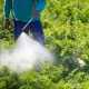Прилипачі та ад'юванти (24) Прилипачі та ад'юванти (24)